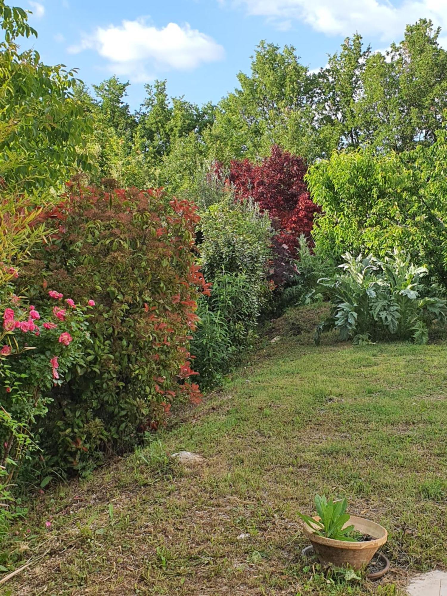 Gite Hanna En Luberon - Le Boisset De St Martin De Castillon Saint-Martin-de-Castillon 外观 照片