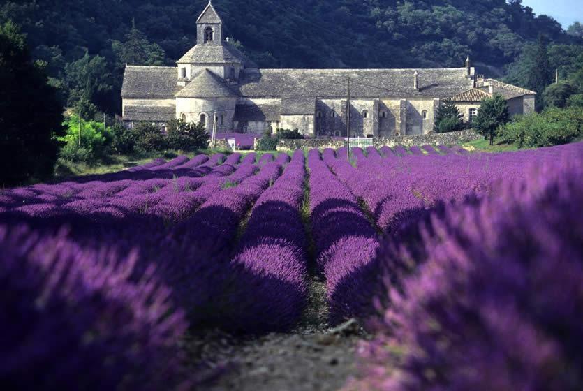 Gite Hanna En Luberon - Le Boisset De St Martin De Castillon Saint-Martin-de-Castillon 外观 照片